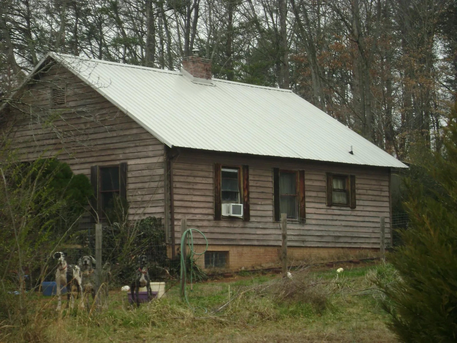 White metal roof on an old wood sided farmhouse, from a Asphalt Shingle Roof Repair job in Lilly